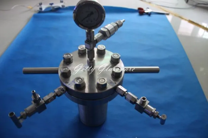 Гидротермический синтезирующий Автоклавный реактор 1000 мл резервуар для