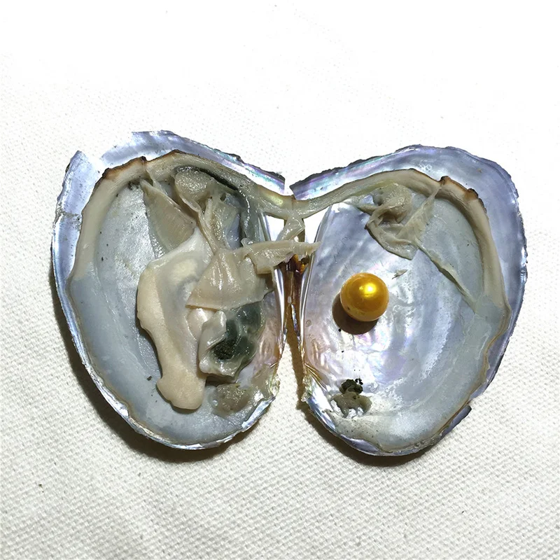 2019 DIY Эдисон Oyster Pearl 9-12 мм 16 смешанных цветов пресноводный подарок натуральный