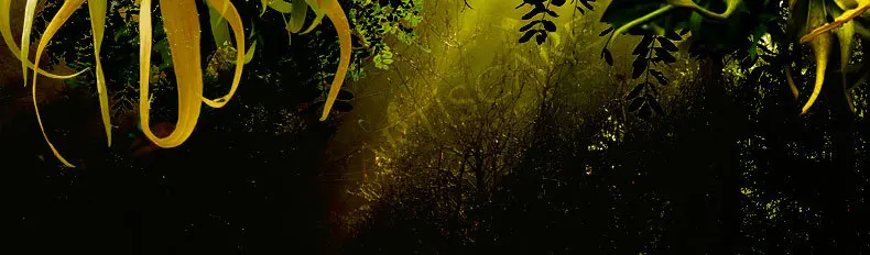 Эфирное масло ARTISCARE100% чистый Ylang-Ylang 10 мл увлажняющее антивозрастной держать парфюм для груди DIY масло для кокосового массажа сандалового дерева