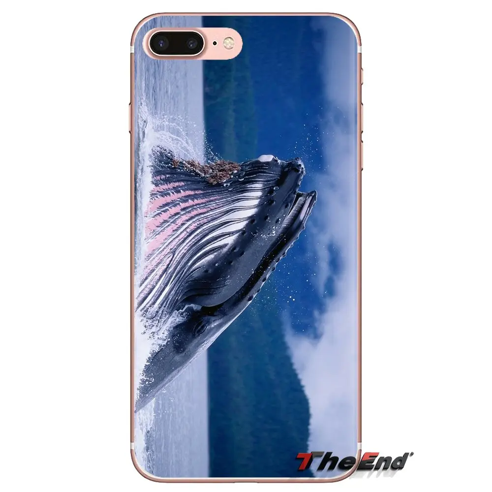 For iPod Touch Apple iPhone 4 4S 5 5S SE 5C 6 6S 7 8 X XR XS Plus MAX Whale Marine life Cool Soft Transparent Shell Covers |