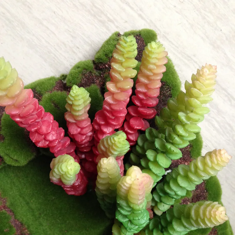 Искусственное растение/Кактус/зелень домашний декор/выглядит реально 2 шт. | Дом и