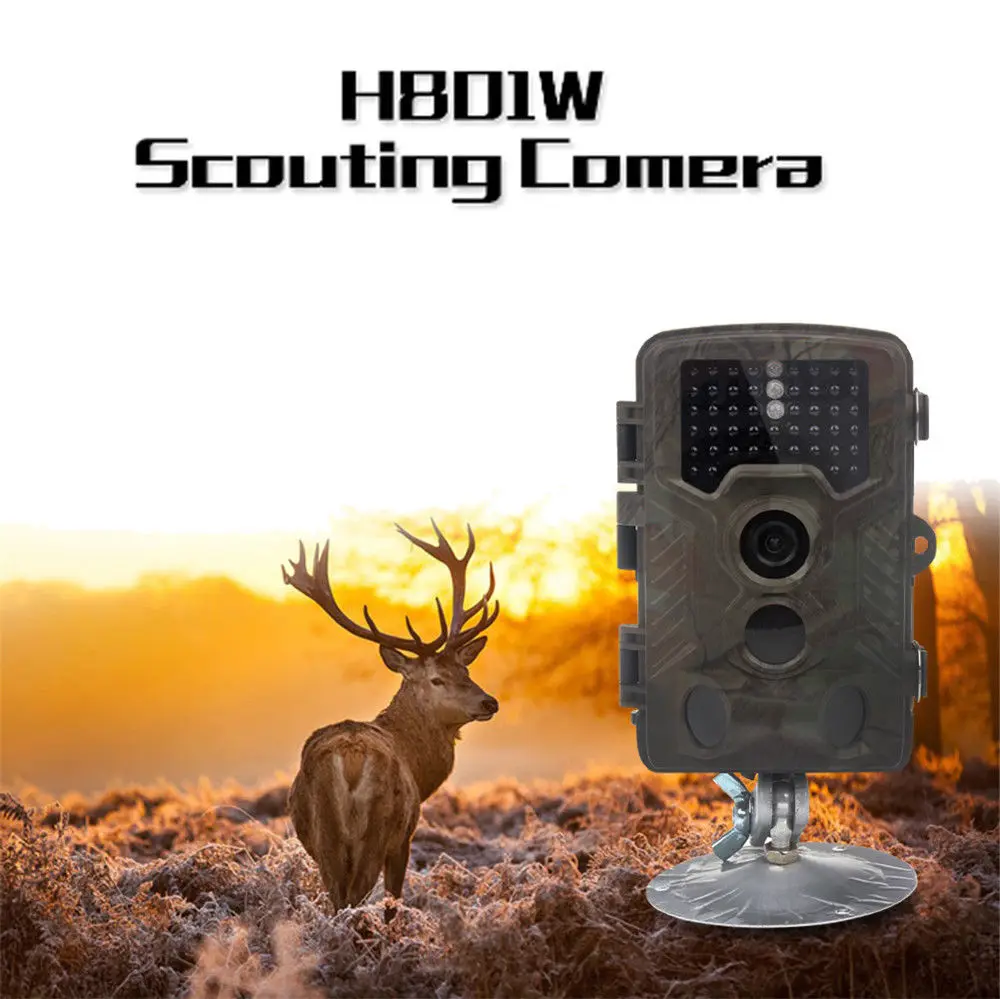 Boblov H801W 12 градусов Trail Охота Скаутинг призрак видео Камера открытый фермы