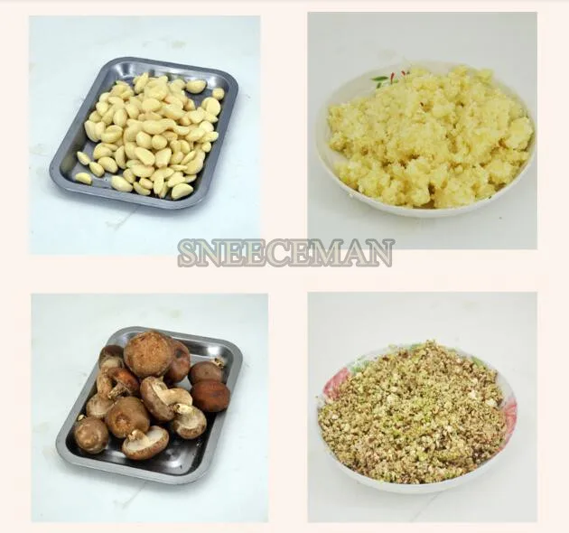 

NEW stainless steel vegetable cutting machine chopper slicer dicing machine