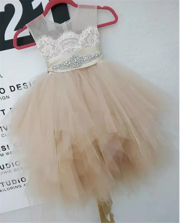 Cute Flower Girl Dresses for Wedding Party Champagne Lace Tulle Knee Length Beaded Belt Sheer Crew Neck Communion Dress | Детская одежда