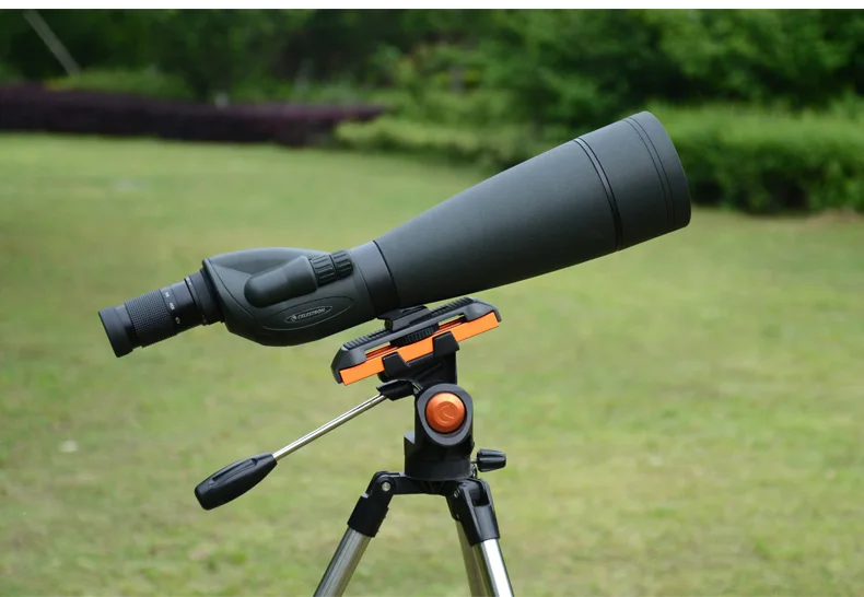 CELESTRON с длинным видением, одноствольный телескоп, зеркало для наблюдения за птицами, высокое разрешение, двойная скорость, заполненная азотом, waterpro