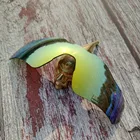 Оптовая продажа, Поляризованные Сменные линзы Glintbay 100% для солнечных очков Oakley, радаров, EV, 24K, Золотое зеркало