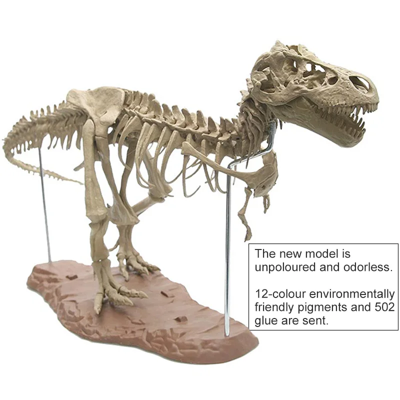 without box Моделирование 4D собранная модель большой тираннозавр рекс Fossil животная модель Diy обучающие игрушки для детей динозавр модель - Цвет: without box
