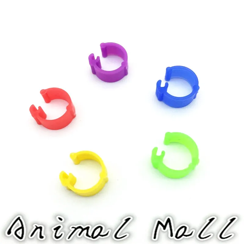 

200 pcs Birds foot ring Pigeon Rings Small Poultry Quail Pheasant Chicken foot rings Identification 5 colors 10 mm x 6 mm