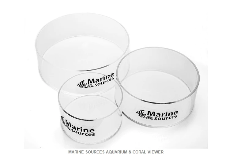 Морские источники аквариума и коралловые зрители посмотрите в верхней части