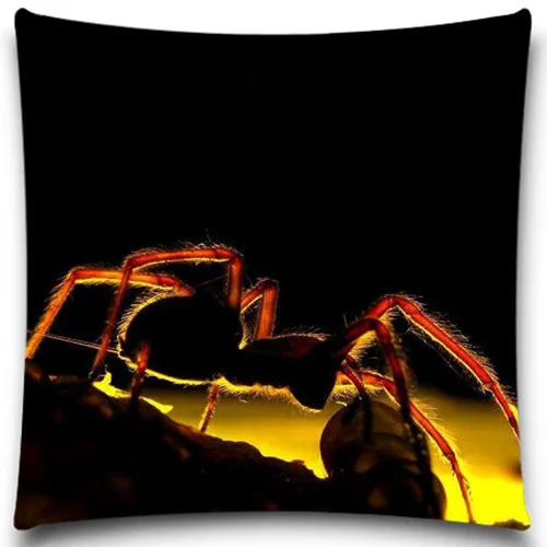 Квадратная наволочка для дивана Spider/Frog декоративная из хлопка/полиэстера | Дом и