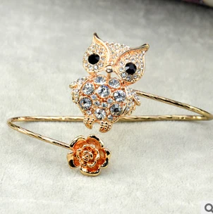 Винтажный браслет с совой/сычем/совой рабским браслетом/запястьем/популярными женскими браслетами/женской браслеткой/браслет/браслетом/браслетом.