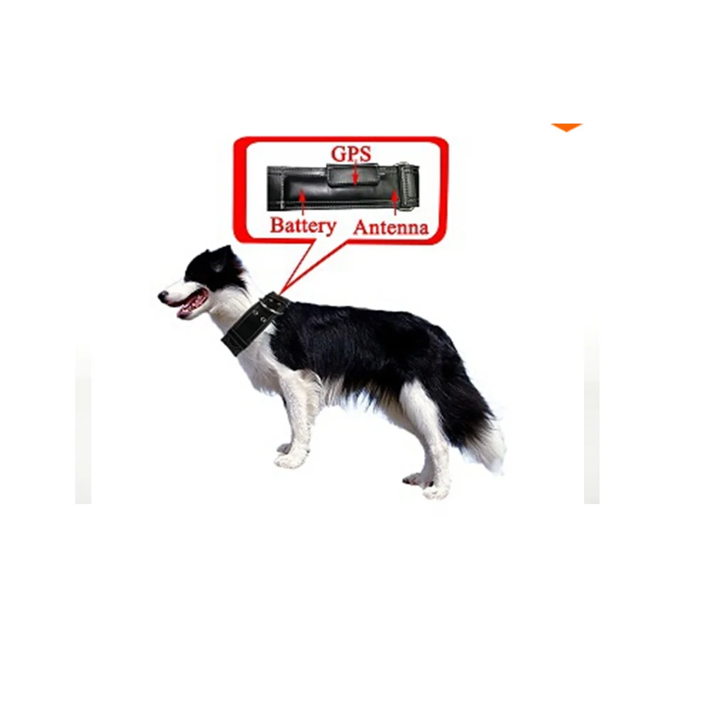 Скрытый gps трекер для домашних животных в режиме реального времени GSM/gps GPRS собака