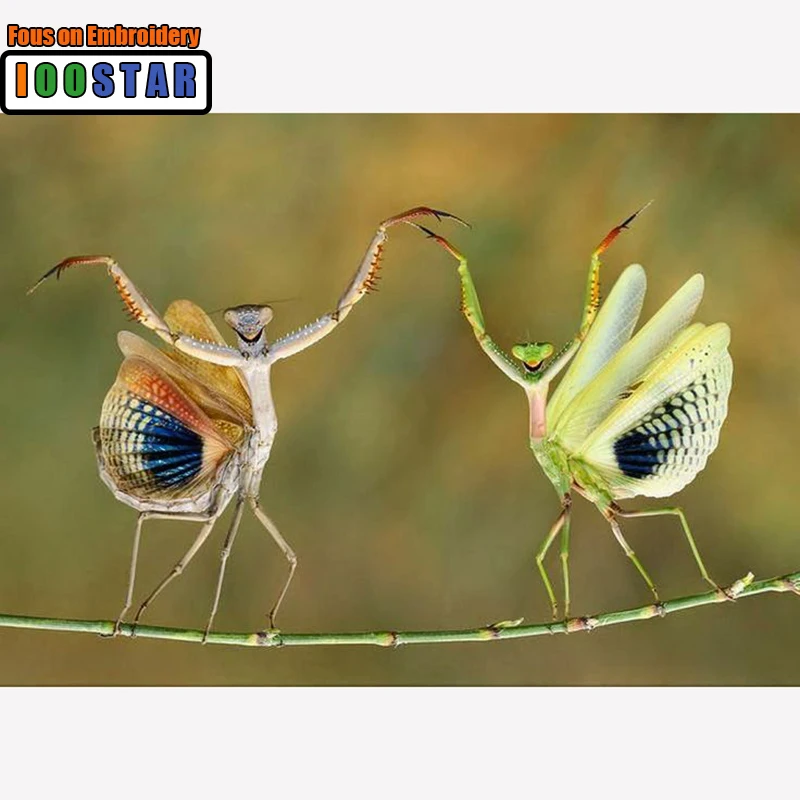 

Полностью круглая алмазная живопись, 3D Алмазная мозаика «сделай сам», алмазная вышивка мантиса, алмазная вышивка крестиком, танцор