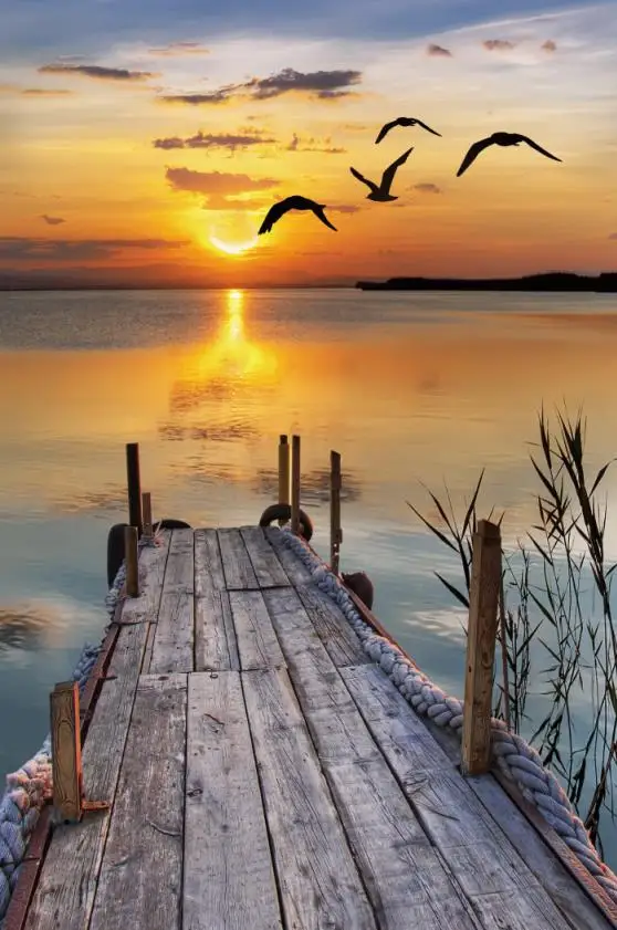 ПВХ стрейчевая потолочная пленка 3D067 с надписью Seagull flying in the sunset деревянная