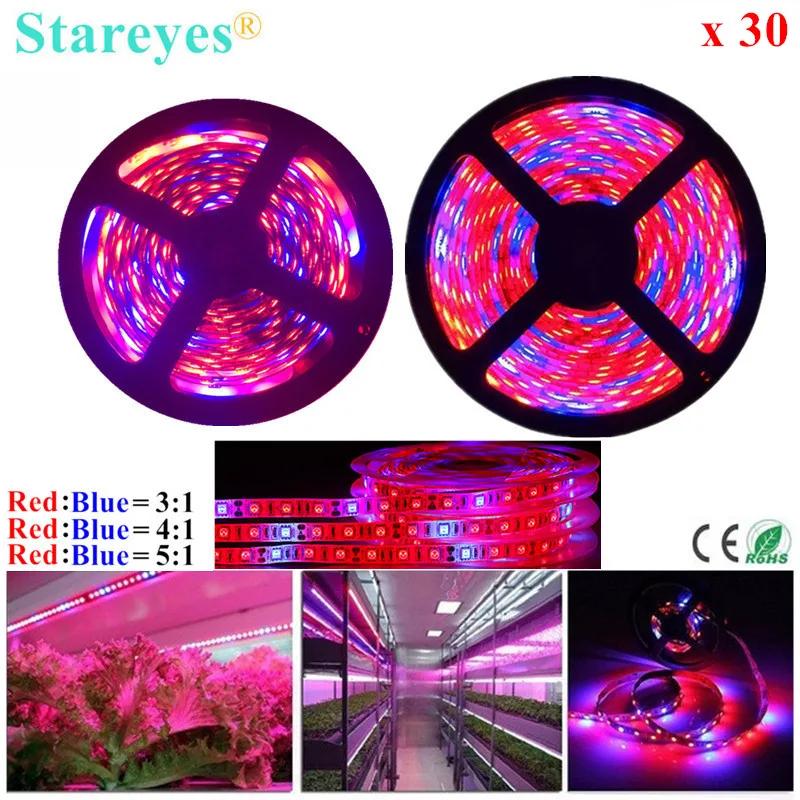 

30 Pcs SMD 5050 300 LED 5m LED Strip Growth Phyto Lamp Full Spectrum Fitolampy Grow Light For Greenhouse Hydroponic plant box