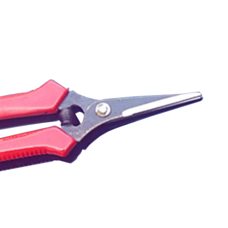 Прямые садовые ножницы для сбора фруктов бонсай листва садоводство ветка лоза