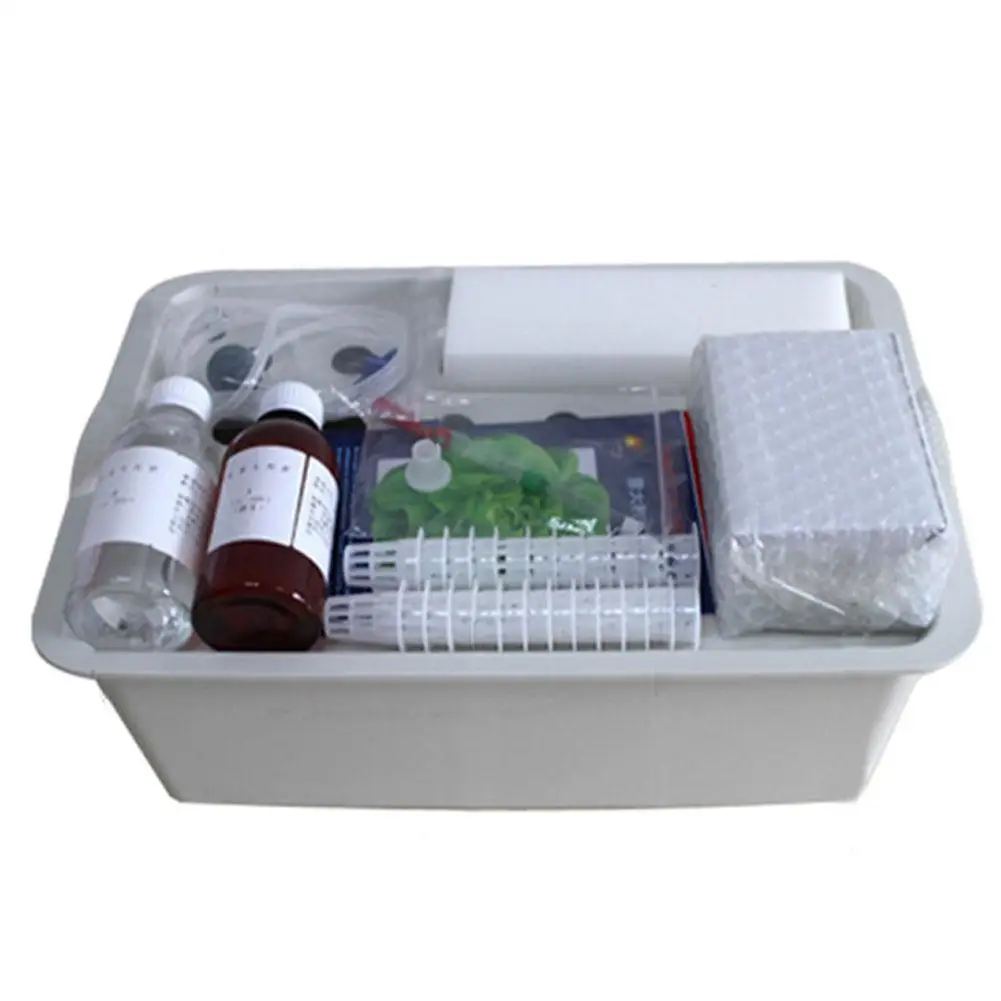 Ланлан 24 Отверстия сайт гидропонная коробка комплект для плантаторов рассады