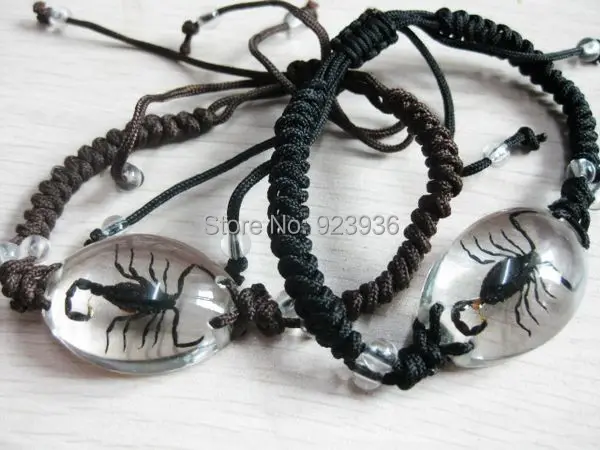 2 шт. ювелирные изделия настоящая пустыня Черный скорпион блестящее дно