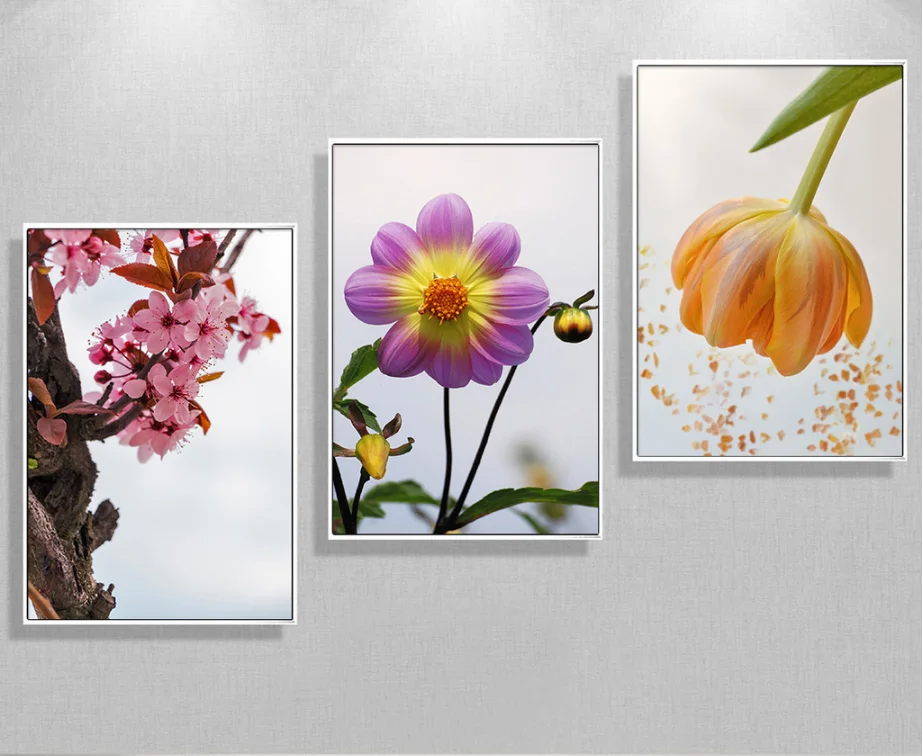 Новый китайский персик 3 шт. цветочные картины украшение для головы кровати холст