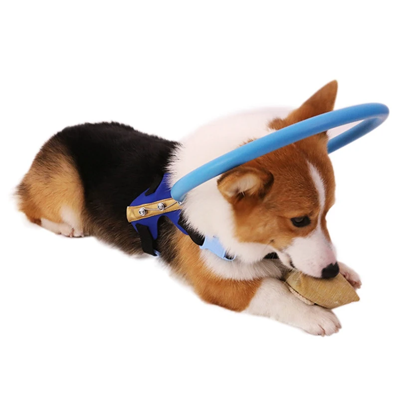 Blind Pet Anti-collision Ring Collar Safe Halo Harness For Dogs Scorpion Cataract Animal Protection Circle Guide Dog | Дом и сад