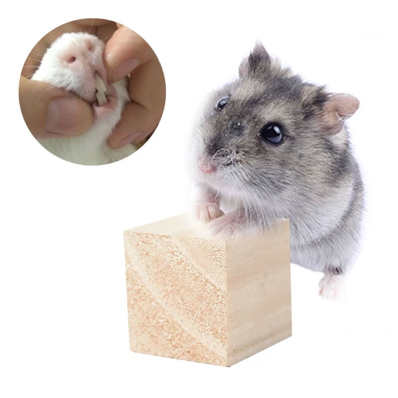 Pet Play Exercise Wood Chew Toy For Hamster Rabbit Rat Mouse | Дом и сад