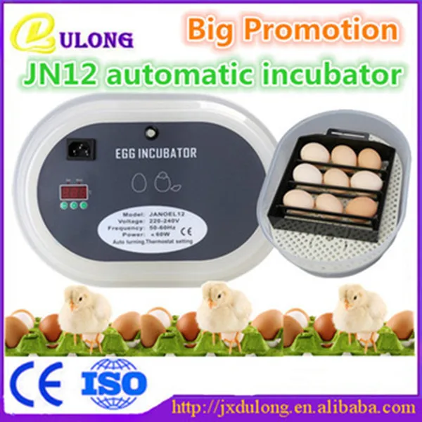 Хорошее Качество с самым лучшим обслуживанием автоматическая яйцо