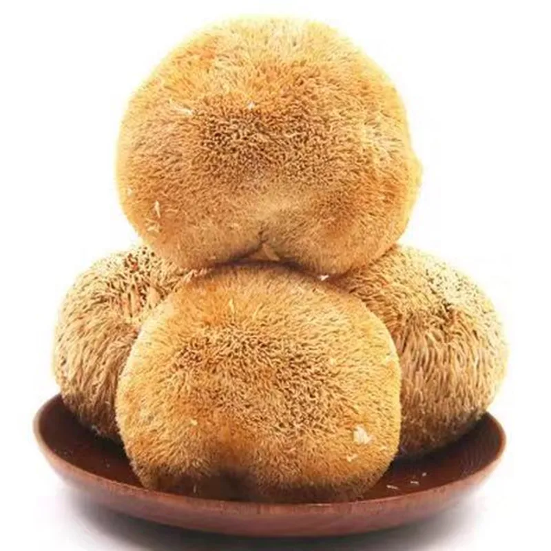 500g 250 г/1000 г натуральный качественный ericium erinaceus Hericium erinaceus укрепляющий иммунитет защищающий печень снижение уровня сахара в крови - Цвет: 500g