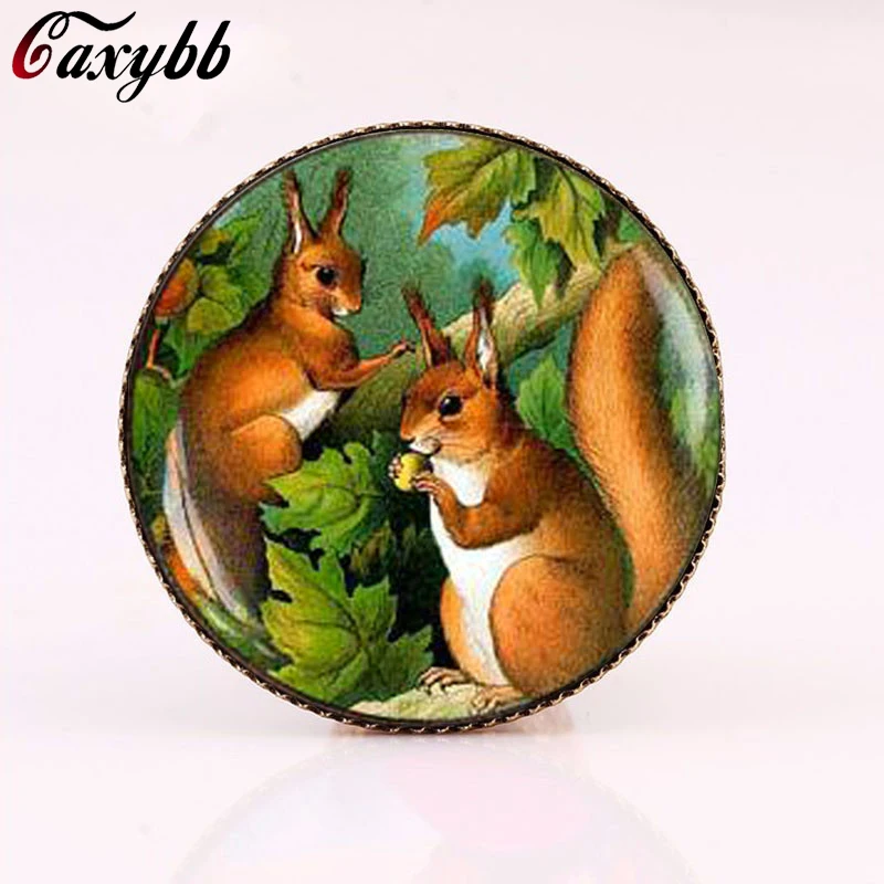 Женская винтажная брошка caxybb в виде белки животных|women brooches|brand broochbrooch brand |