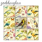 Квадратный кабошон для фотографирования животных, птиц, бабочек, винтажный, 12 мм20 мм25 мм30 мм, фурнитура для демонстрации плоской спины