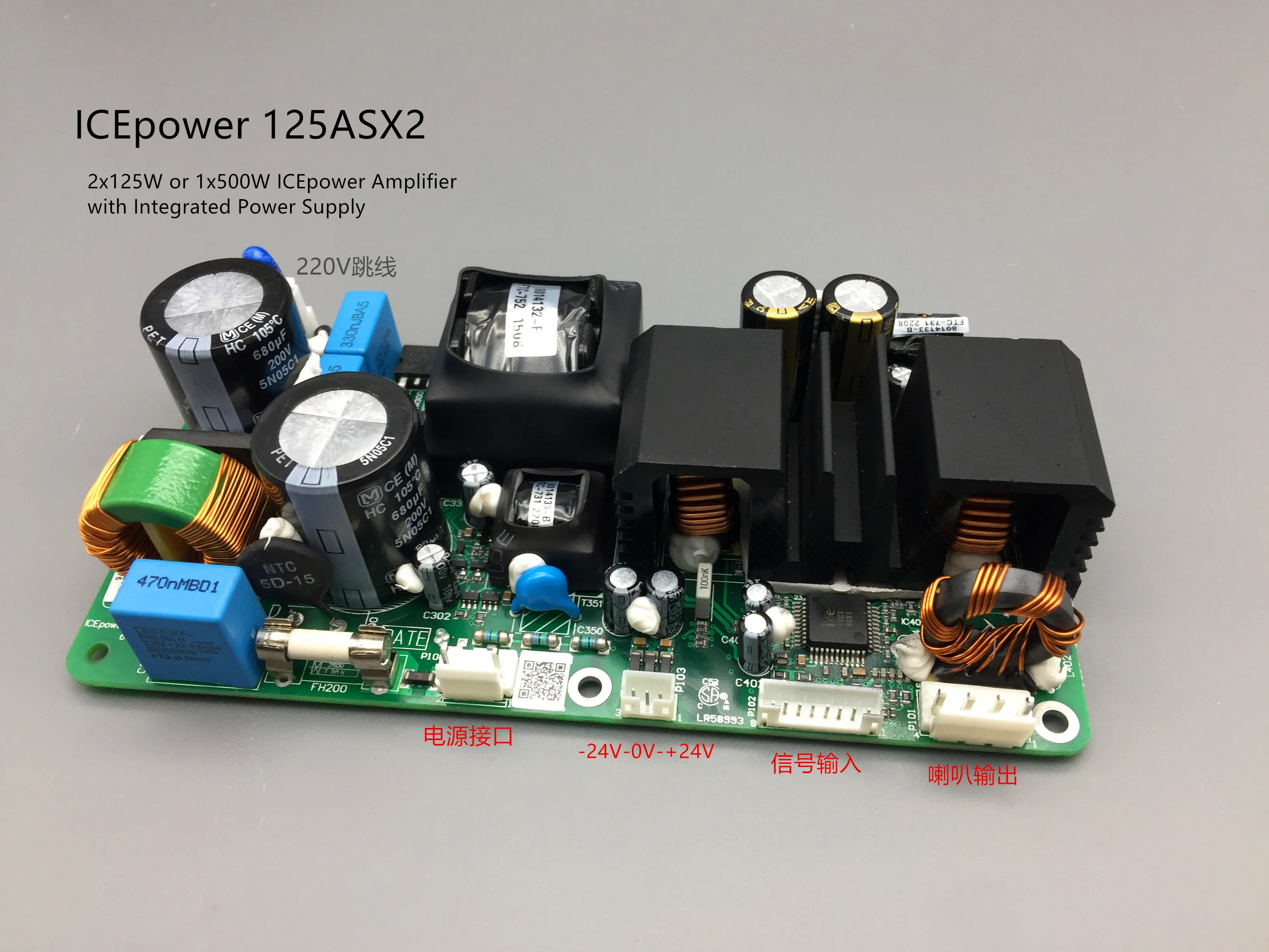 Плата усилителя мощности ICEPOWER ICE125ASX2 цифровая стерео усилитель для лихорадки