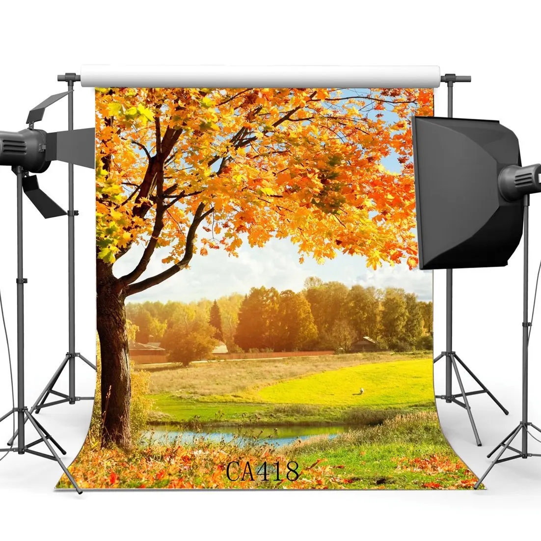 Фон для фотосъемки Сельский ЛЕС ДЕРЕВЬЯ трава поле осенние листья природа