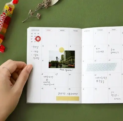 A6 36 P ежегодно ежемесячно планировщик организатора повестки 2016 2017 Catcus морской