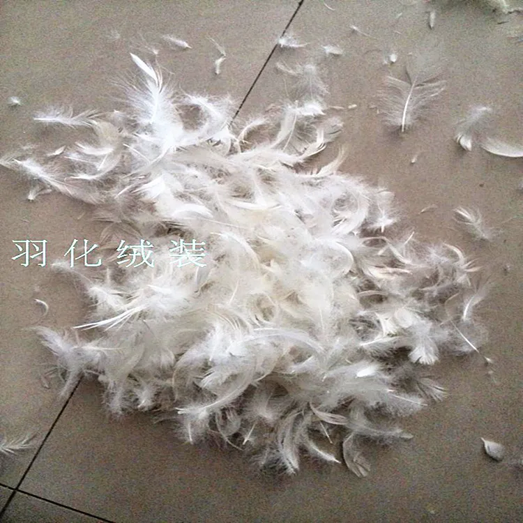 Sofa Filler White big duck feather cushion pillow mattress filler odorlessness clean degree 1000 factory direct sales $1.5 / lb | Дом и сад