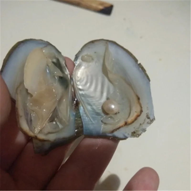 100 шт. Разноцветный жемчуг таинственный Сюрприз подарок вакуумная упаковка