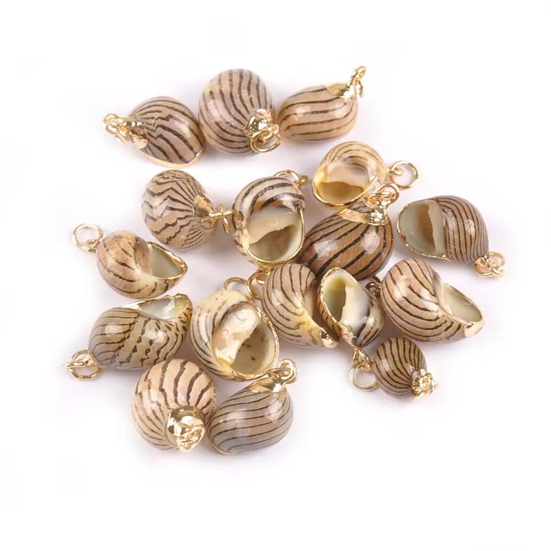 5 шт. украшение для дома натуральная полоса спираль позолоченные ракушки