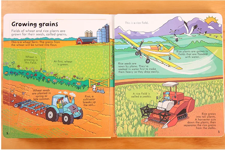Великобритания английский 3D Usborne вид внутри еды картинка книги обучение детей