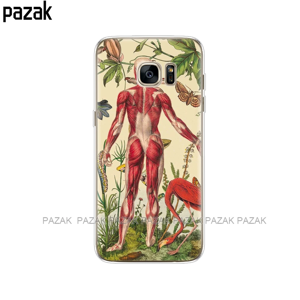 34532 Силиконовый чехол для телефона samsung Galaxy S7/S7 edge чехол для samsung S7 edge G930F G930FD G930W8 fation чехол для телефона s - Цвет: 34532