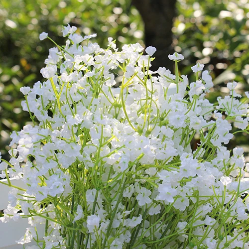 Модный 1 шт. искусственный гипсофильный Шелковый цветок Babysbreath вечерние НКИ