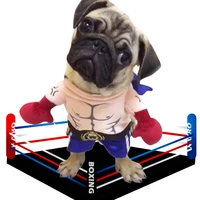 pet boxer costume clothes for dogs pugilism cosplay suit funny boxing clothing cat apparel halloween outfit