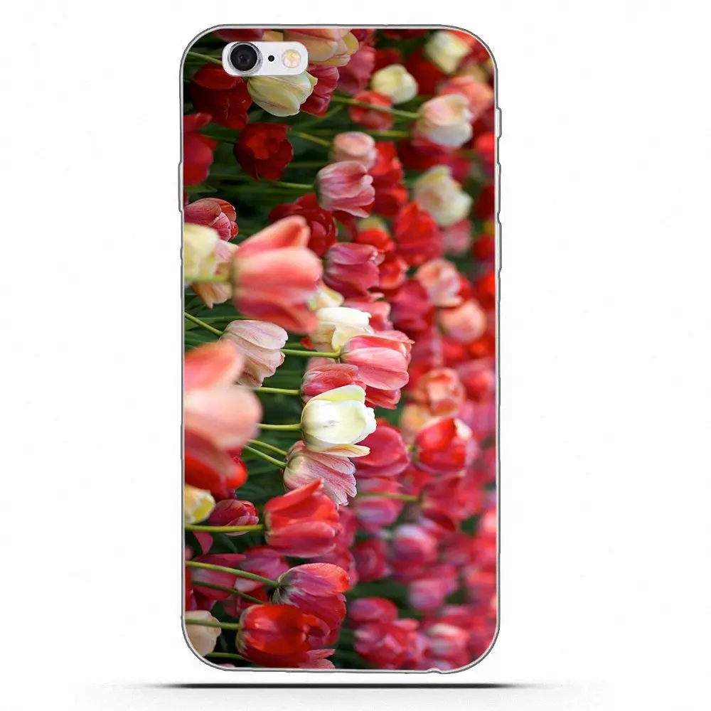 Wexoeq синие весенние красочные тюльпаны ТПУ шаблоны для Apple iPhone X 4 4S 5 5C 5S SE 6 6S 7 8 Plus |