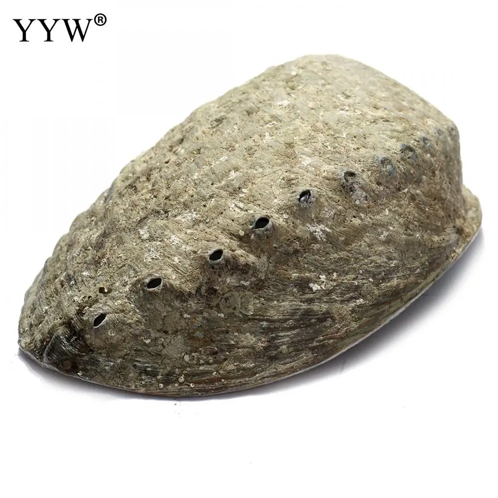 Большая Радужная миска с морскими ушками (4-6 дюймов) 132*95*36 мм 1 шт. разноцветная для