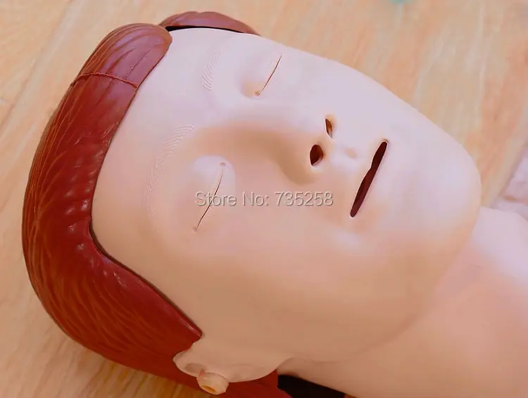 Модель CPR модель компьютерного контроля Учебная первой помощи|cpr model|first aid trainingcpr