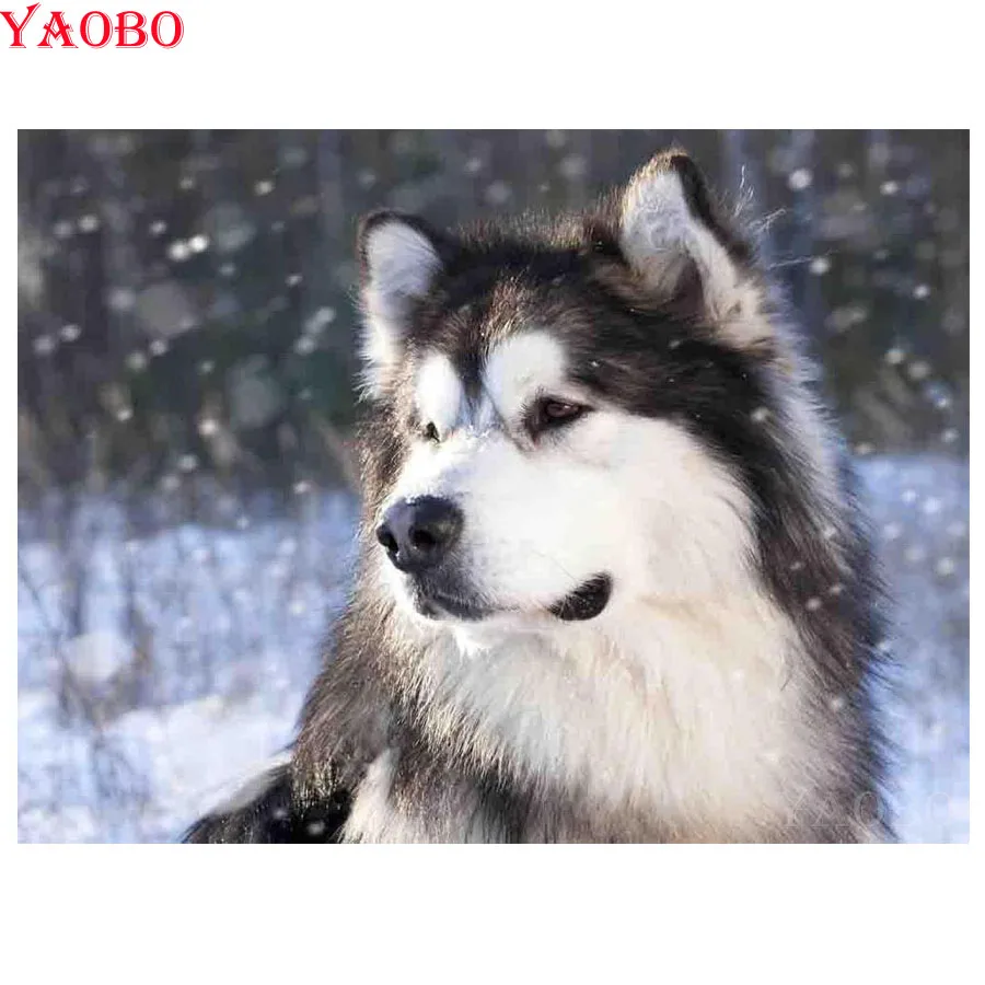 Алмазная живопись Alaskan Malamute 5D 100% полный набор для рукоделия 3D Вышивка крестом