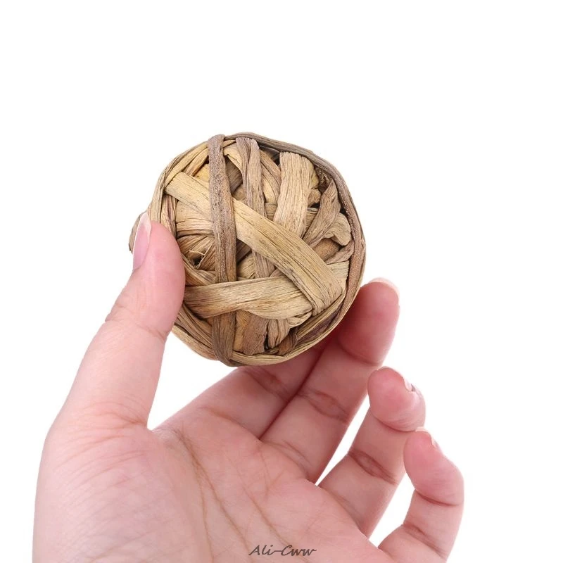 4 шт. игрушки для животных кроликов морских свинок | Дом и сад