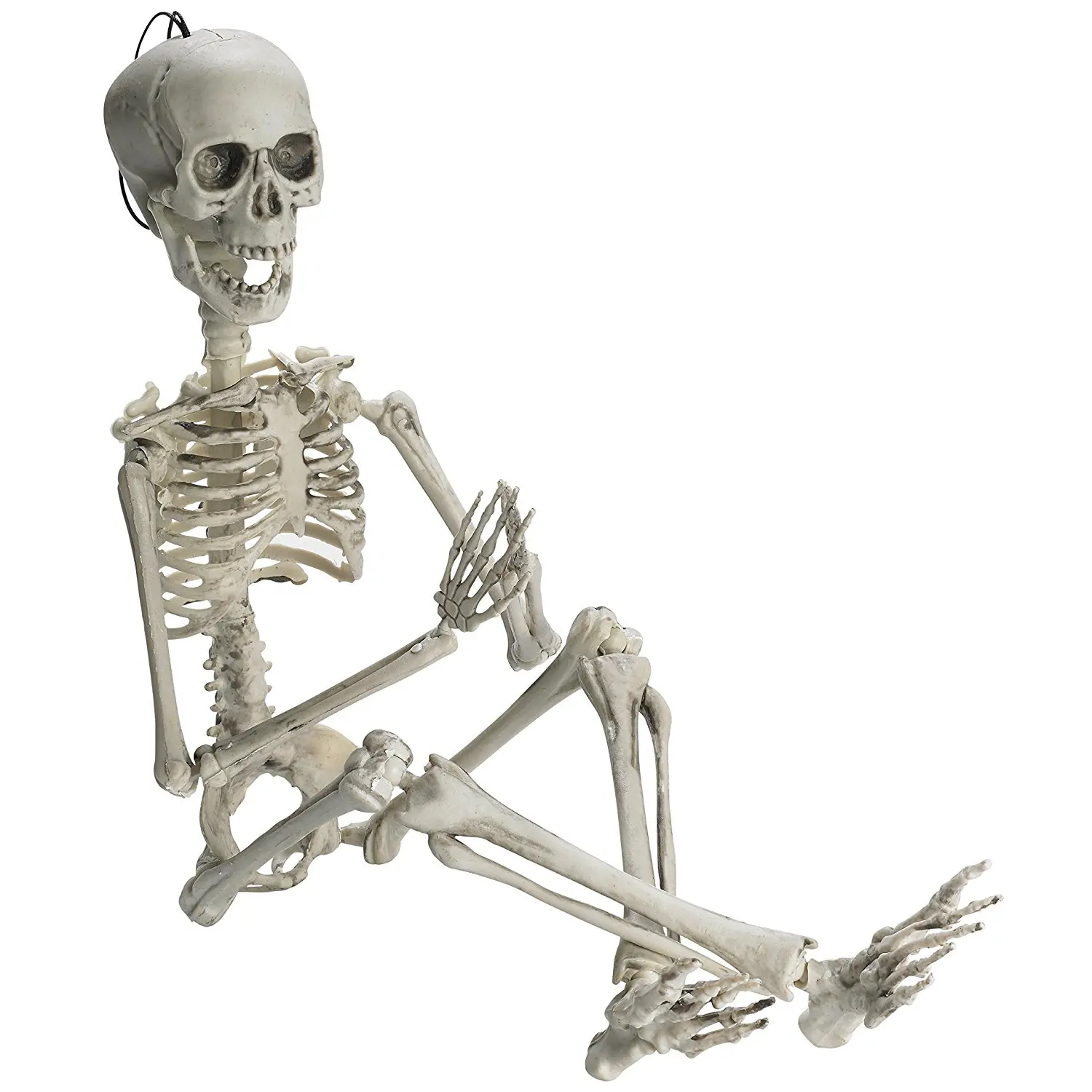 

Posable Halloween Skeleton- Full Body Halloween Skeleton Body Accessories for Best Halloween Decoration