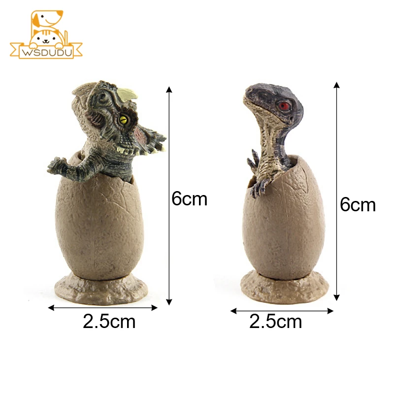 

Dinosaur Eggs