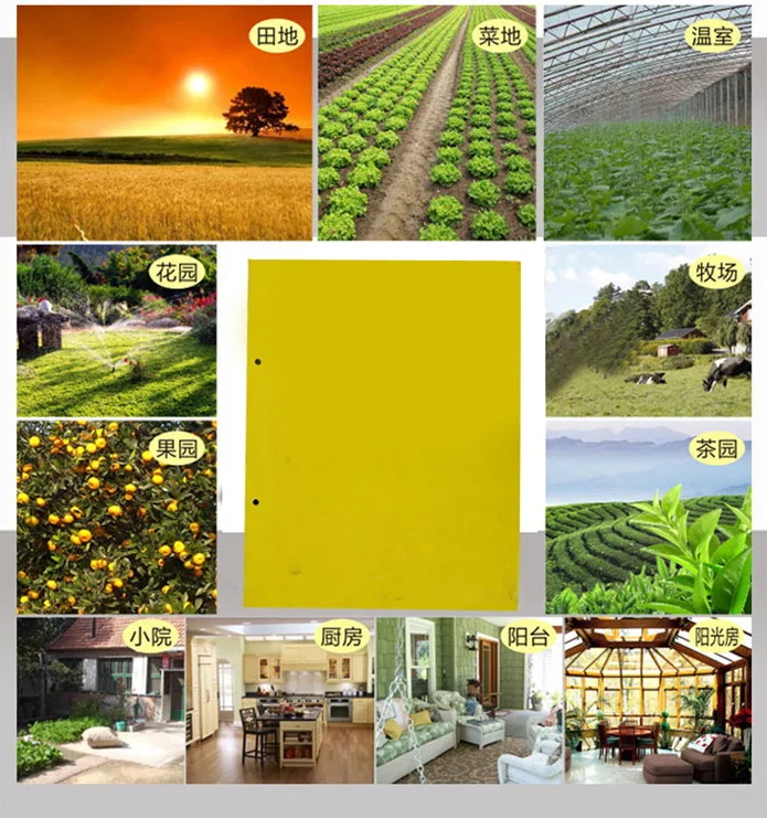 10 шт. липкая доска для мух-ловушки моли комаров летающих насекомые мухи терминалы