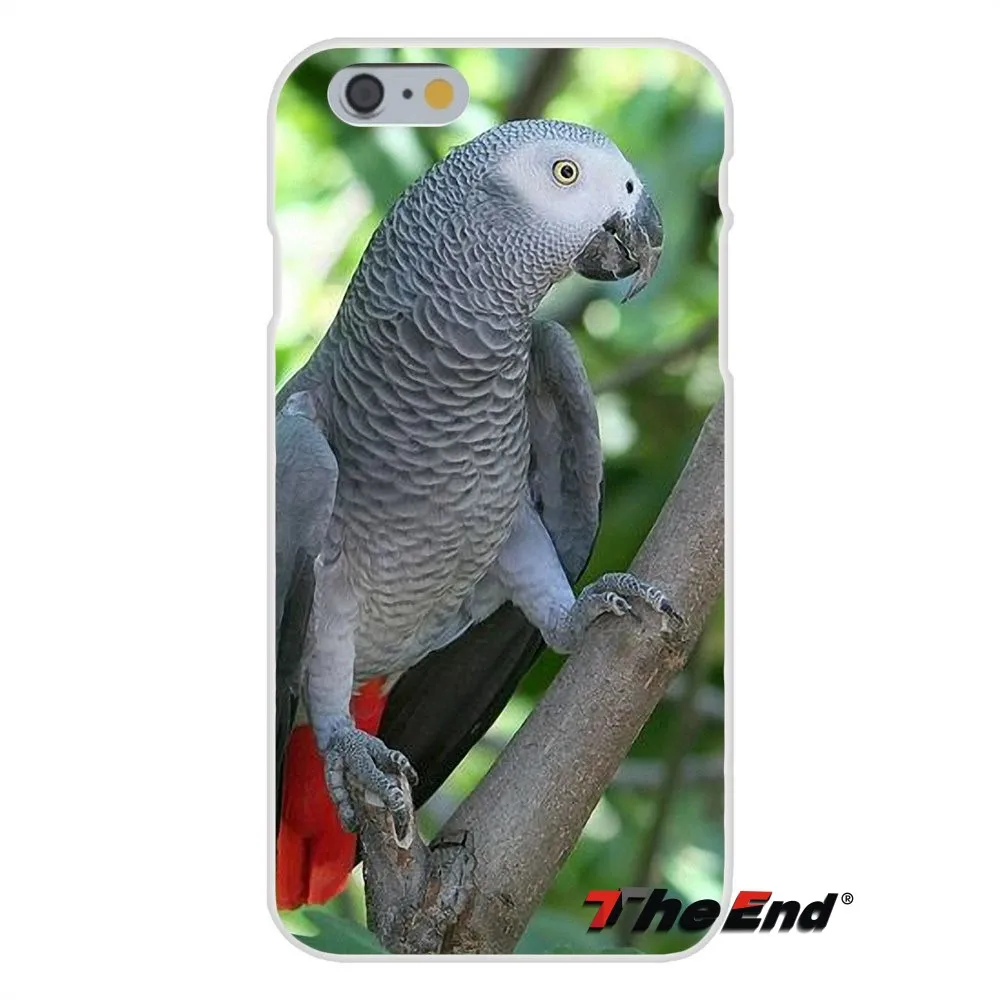 For HTC One M7 M8 A9 M9 E9 Plus Desire 630 530 626 628 816 820 Silicon Soft Phone Case Blue Ringneck Parrot Art Print | Мобильные