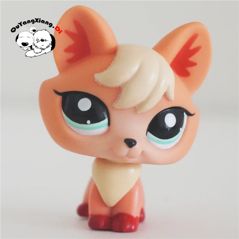 CWM075 Pet Shop животного золотой свет orange цветок ухо котенок Кукла фигурку | Игрушки и