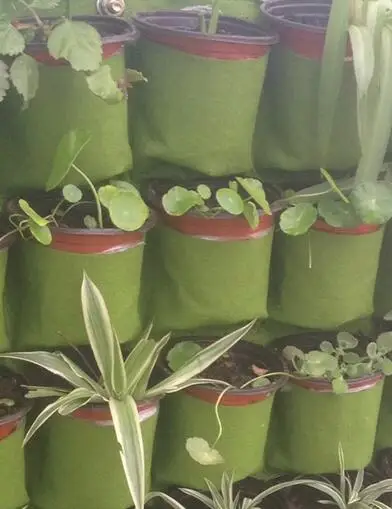 9 round pockets Pocketgarden подвесные горшки для растений, настенный горшок, вертикальные садовые цветочные горшки и кашпо, подвесные горшки для цветов, Садовые принадлежности - Цвет: 9 round pockets